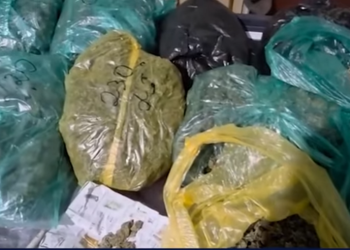 “ამოღებულია 2.5 კგ-მდე გამომშრალი მარიხუანა და იარაღი” – პოლიციამ მარნეულში პირი დააკავა