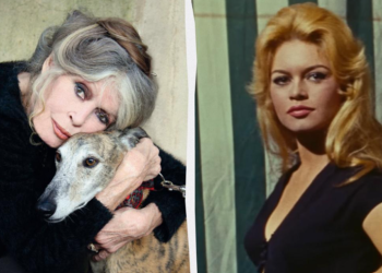 ბრიჯიტ ბარდო 91 წლის ასაკში გარდაიცვალა