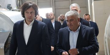 “კობახიძის ინვესტორი” – რატომ გაიქცა ქვეყნიდან, სადაა ახლა და რას სთხოვდნენ მას?