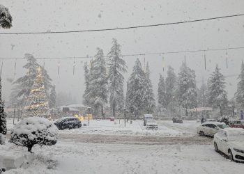 “წალენჯიხაში 3 დღეა არ მოგვეწოდება დენი, არაა წყალი, ინტერნეტი, 3 დღეა საკუთარი ძალებით ვებრძვით სტიქიას!”– ბელა თოლორაია