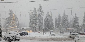 “წალენჯიხაში 3 დღეა არ მოგვეწოდება დენი, არაა წყალი, ინტერნეტი, 3 დღეა საკუთარი ძალებით ვებრძვით სტიქიას!”– ბელა თოლორაია