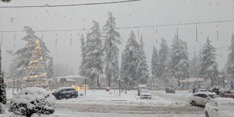 “წალენჯიხაში 3 დღეა არ მოგვეწოდება დენი, არაა წყალი, ინტერნეტი, 3 დღეა საკუთარი ძალებით ვებრძვით სტიქიას!”– ბელა თოლორაია