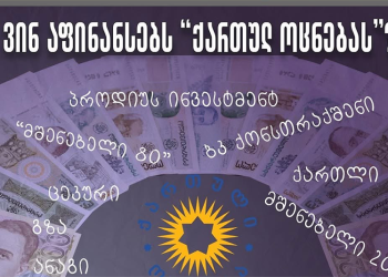 ბიზნესი, დიდი ფული და პარტია – ვინ აფინანსებს “ოცნებას”?