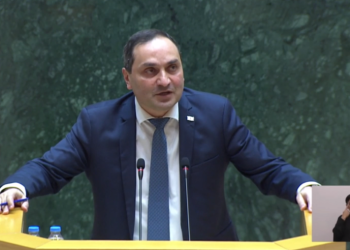 კერძო უნივერსიტეტებისთვის დაფინანსების მოხსნა პოლიტიკური გადაწყვეტილებაა – მინისტრის მოადგილე