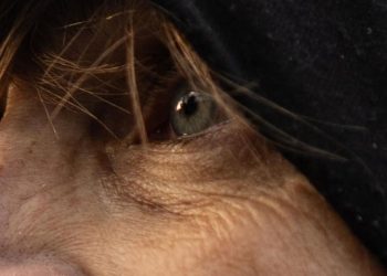 “სასტიკად მოკლული მასწავლებლის დედამ საბოლოოდ გააშიშვლა მთელი სისტემა” – სალომე სიმონია