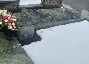 “ეს ალისფერი მიხაკი სანდრო გირგვლიანის სასაფლაოზე დაგვხდა” – ანა დოლიძე