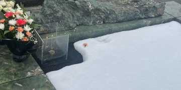 “ეს ალისფერი მიხაკი სანდრო გირგვლიანის სასაფლაოზე დაგვხდა” – ანა დოლიძე