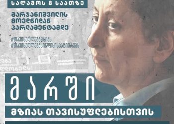 მზია ამაღლობელის მხარდასაჭერი მარშის პარალელურად, შსს სავალდებულო მითითებას ავრცელებს