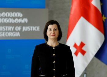 რა ქონებას ფლობს NGO-დან საჯარო სამსახურში გადასული და მინისტრის მოადგილედ დაწინაურებული თამარ ზოდელავა?