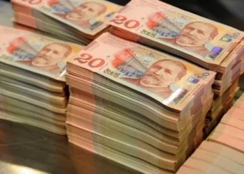 რამდენი დასაქმებული იღებს საქართველოში თვეში 100 000 ლარს და მეტ ხელფასს?