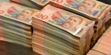 რამდენი დასაქმებული იღებს საქართველოში თვეში 100 000 ლარს და მეტ ხელფასს?