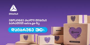 რა ქონებას ფლობს ჯანდაცვის მინისტრის ყოფილი მოადგილე, რომელიც დააკავეს?