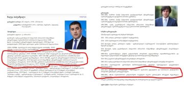 “ტყუილი მძაღეა, რადგან ეს ნიშნავს, რომ შტერად გთვლით და გულიც რომ აგერიოთ, იმ საძაგელგემოიან ტყუილს მაინც გადაყლაპავთ” – ნაზიბროლა რეხვიაშვილი