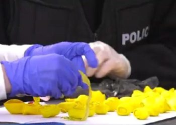 ნარკოტიკებს ბუშტებში ახვევდნენ და სასაფლაოზე დებდნენ – იმერეთში ორი პირი დააკავეს