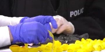 ნარკოტიკებს ბუშტებში ახვევდნენ და სასაფლაოზე დებდნენ – იმერეთში ორი პირი დააკავეს