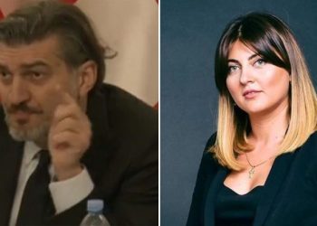 “შეწყალებას, საერთოდ არ სჭირდება რაიმე განცხადება ან/და მიმართვა” – მარიკა არევაძე