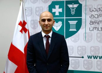 ჯანდაცვის მინისტრის ყოფილი მოადგილე ილია ღუდუშაური დააკავეს