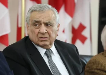 მეცნიერები ეკონომიკის ზრდას “ჩვეულებრივი თვალით”  ზომავენ? – აღმშენებლობის ეპოქაში მცხოვრები მეტრეველი