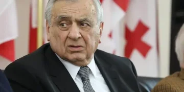 მეცნიერები ეკონომიკის ზრდას “ჩვეულებრივი თვალით”  ზომავენ? – აღმშენებლობის ეპოქაში მცხოვრები მეტრეველი