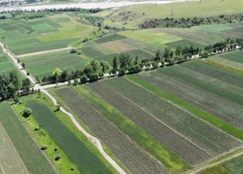 მიწის სისტემური რეგისტრაციის უფასო პროგრამა დასრულდა – მომსახურება ფასიანი გახდა