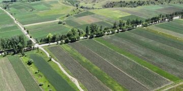 მიწის სისტემური რეგისტრაციის უფასო პროგრამა დასრულდა – მომსახურება ფასიანი გახდა