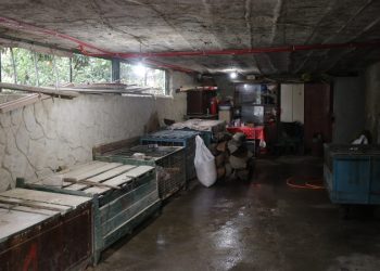 ქუთაისში ცხოველთა არალეგალური სასაკლაო გამოავლინეს