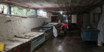 ქუთაისში ცხოველთა არალეგალური სასაკლაო გამოავლინეს