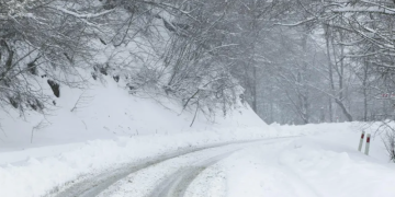 ვაზიანი-გომბორი-თელავის საავტომობილო გზის ნაწილზე ავტოტრანსპორტის მოძრაობის შეზღუდვა დაწესდა