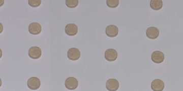 თბილისის აეროპორტში, მგზავრის ხელბარგში „მეთადონის“ შემცველი 30 აბი აღმოაჩინეს