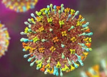 ინდოეთში სასიკვდილო ვირუსი გავრცელდა – ბოლო ცნობები