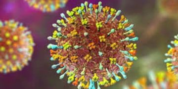 ინდოეთში სასიკვდილო ვირუსი გავრცელდა – ბოლო ცნობები