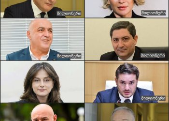 ფასების შემსწავლელი კომისიის 7 წევრი მილიონერია – სალომე სიმონია