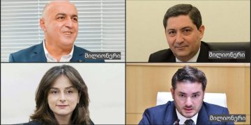 ფასების შემსწავლელი კომისიის 7 წევრი მილიონერია – სალომე სიმონია