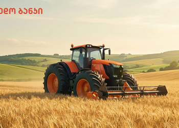 რას სთავაზობს კრედო ბანკი შეღავათიანი აგროკრედიტის ფარგლებში ფერმერებს?