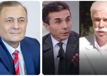 “პატარკაციშვილის სიკვდილი ივანიშვილის ინტერესებში იყო” – ნათელაშვილი