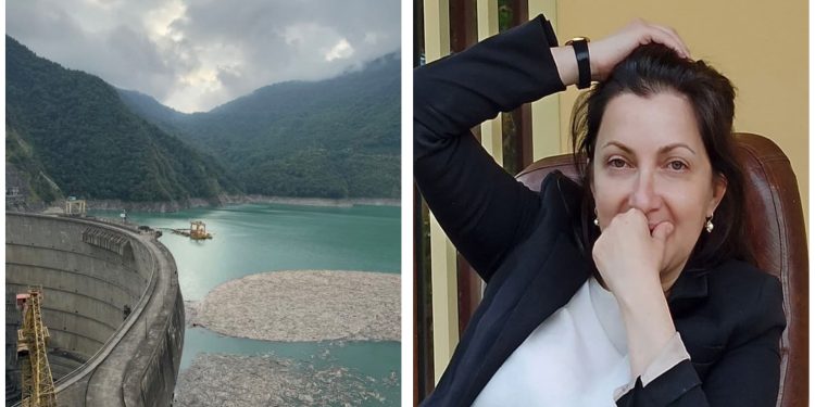 “ეს ნიშნავს მეორედ დევნას — ამჯერად არა ომით, არამედ „მშვიდობიანი“ და „ეკონომიკური“ ფორმით” -. თამარ ბელქანია