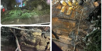 რომელი ქუჩებია ჩახერგილი? – “ქალაქს დედა ეტირა ერთ ღამეში”