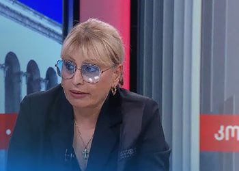 “6 წლის მანქანა ძველია და 14 წლის მთავრობა – არა?” – ელენე ახობაძე