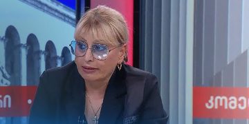 “6 წლის მანქანა ძველია და 14 წლის მთავრობა – არა?” – ელენე ახობაძე