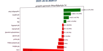 “ილიაუნს” 4207–დან 300–მდე შეუმცირეს მისაღებ სტუდენტთა რაოდენობა