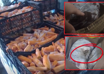 პოლიციელებსა და ჯარისკაცებს მომწამვლელ პროდუქტს აჭმევდნენ – ექსპერტიზის ბიურო მომწამვლელ ნივთიერებებს ვეღარ იკვლევს?