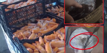 პოლიციელებსა და ჯარისკაცებს მომწამვლელ პროდუქტს აჭმევდნენ – ექსპერტიზის ბიურო მომწამვლელ ნივთიერებებს ვეღარ იკვლევს?