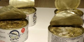 თბილისის აეროპორტში ნარკოტიკების შემოტანის ბრალდებით ირანის მოქალაქე დააკავეს – შსს