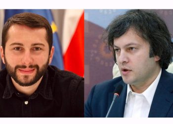 გაფუჭებული პროდუქტები ჯარსა და პოლიციაში შეჰქონდა კომპანიას, რომელმაც ტენდერი კობახიძის პრემიერობისას მოიგო – მჟავანაძე