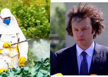 “ოცნება” პესტიციდების ფასის შესწავლას იწყებს და აპირებს განსაზღვროს, ვინ რამდენი უნდა მოიხმაროს