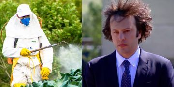 “ოცნება” პესტიციდების ფასის შესწავლას იწყებს და აპირებს განსაზღვროს, ვინ რამდენი უნდა მოიხმაროს