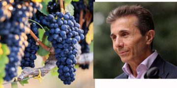 ვენახის გაშენების ნებართვა – “ოცნება” თვლის რომ ქართული ყურძენი და ღვინო დაბალი ხარისხისაა?