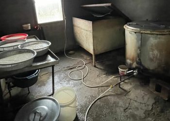 ქვემო ქართლში ყველის ოთხი არალეგალური საწარმო გამოვლინდა