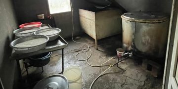 ქვემო ქართლში ყველის ოთხი არალეგალური საწარმო გამოვლინდა