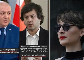 რა (არ) თქვა კობახიძემ ლილუაშვილზე? – სალომე სიმონია